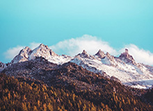 开云体育-中国官网登录入口-王楚钦、孙颖莎领衔澳门世界杯国乒参赛名单