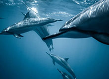 开云娱乐：让娱乐成为生活的风景线